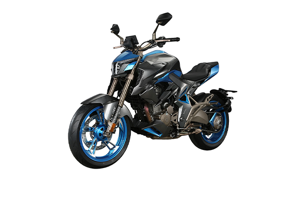 ZONTES 310R1